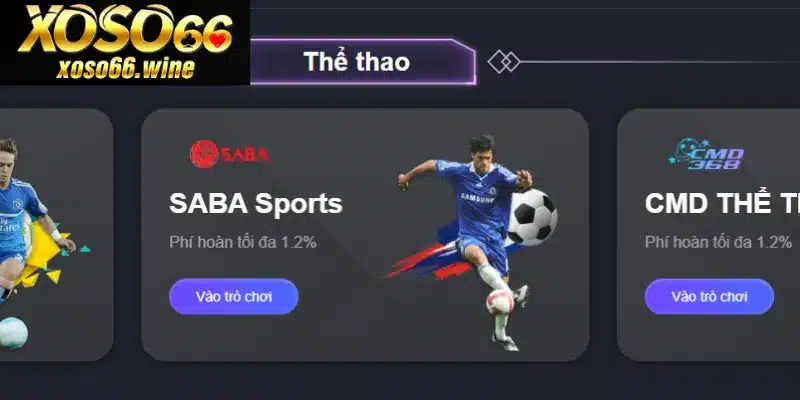 Trải nghiệm sảnh cá cược thể thao